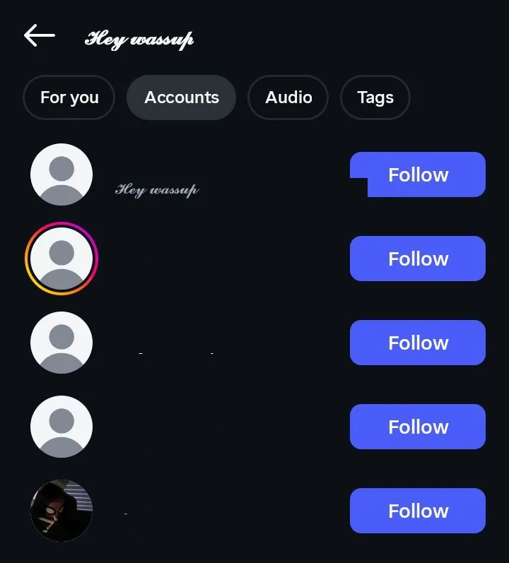 Instagram search results on the Accounts tab returning the profile with the cursive styled name, with the usernames blurred