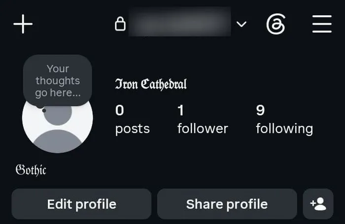 an Instagram profile with a blackletter display name above a plain username