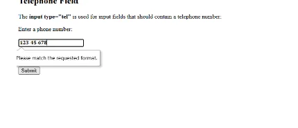The same telephone input with styled digits, showing the message Please match the requested format
